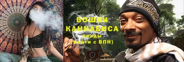 дживик Карпинск