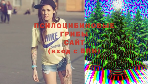 дживик Карпинск